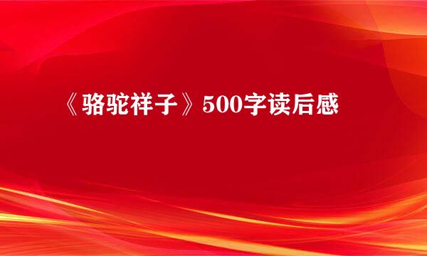 《骆驼祥子》500字读后感