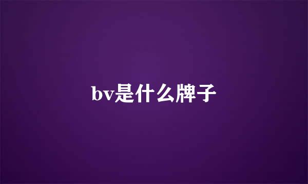 bv是什么牌子