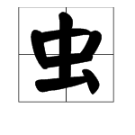 虫字旁有哪些字?