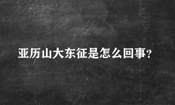 亚历山大东征是怎么回事？