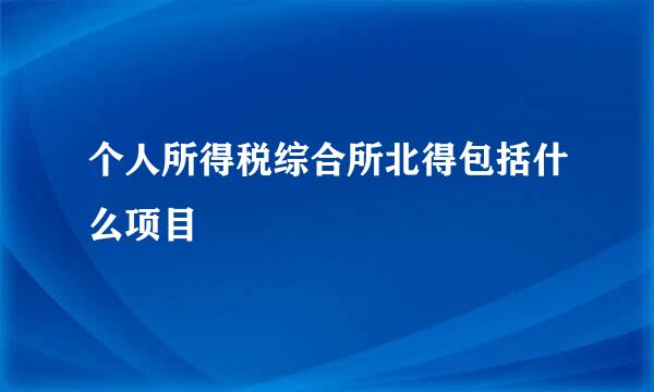 个人所得税综合所北得包括什么项目