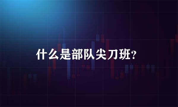 什么是部队尖刀班？