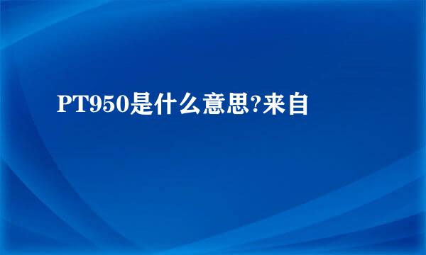 PT950是什么意思?来自