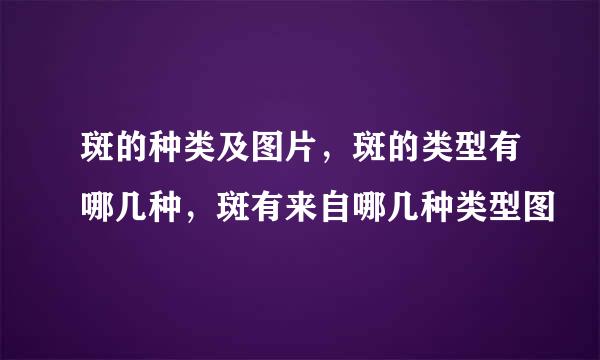 斑的种类及图片，斑的类型有哪几种，斑有来自哪几种类型图