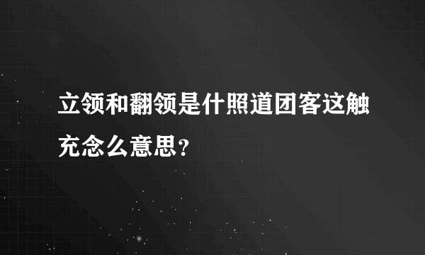 立领和翻领是什照道团客这触充念么意思？