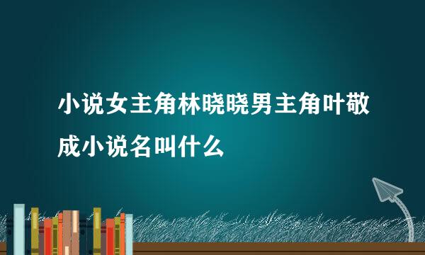 小说女主角林晓晓男主角叶敬成小说名叫什么