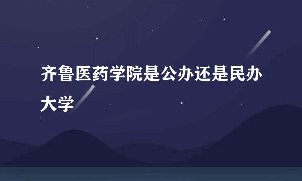 齐鲁医药学院是公办还是民办大学