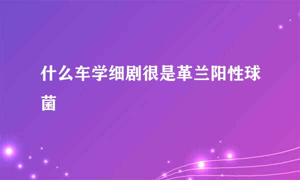 什么车学细剧很是革兰阳性球菌