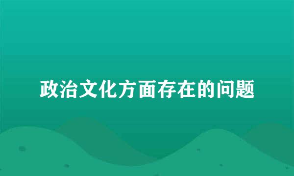 政治文化方面存在的问题