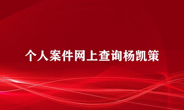 个人案件网上查询杨凯策