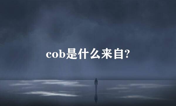 cob是什么来自?