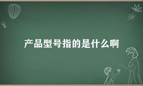 产品型号指的是什么啊