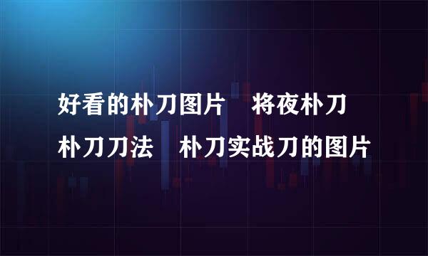 好看的朴刀图片 将夜朴刀 朴刀刀法 朴刀实战刀的图片