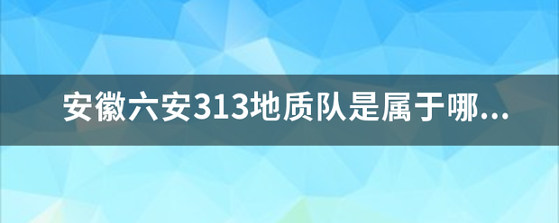 安徽六安313地质队是属于哪个区