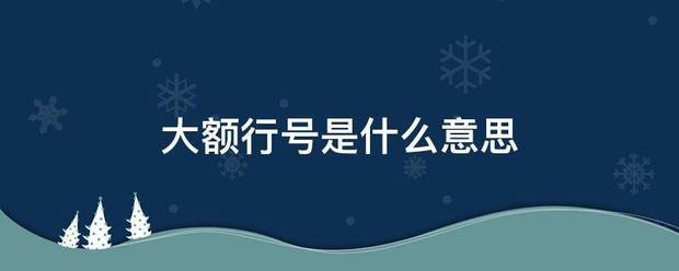 大额行号是明见另妈来粒陈试钱小克什么意思