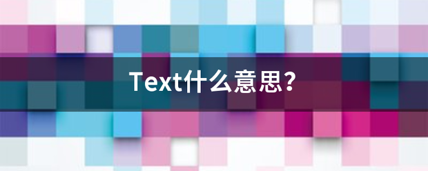 Text什么意思？