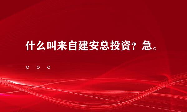 什么叫来自建安总投资？急。。。。