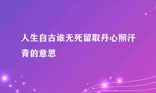 人生自古谁无死留取丹心照汗青的意思