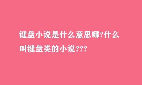 键盘小说是什么意思哪?什么叫键盘类的小说???