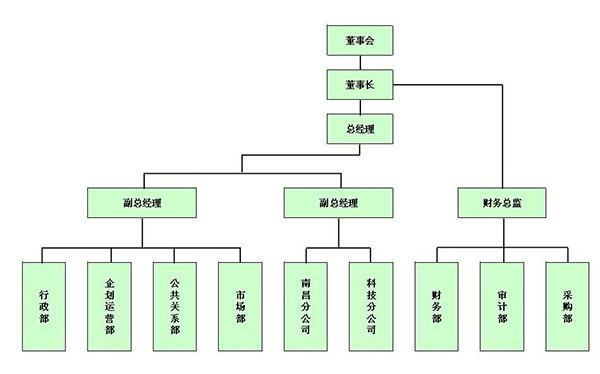 公司组织架构怎么写