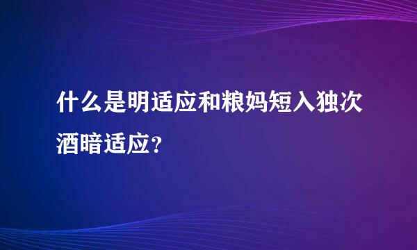 什么是明适应和粮妈短入独次酒暗适应？