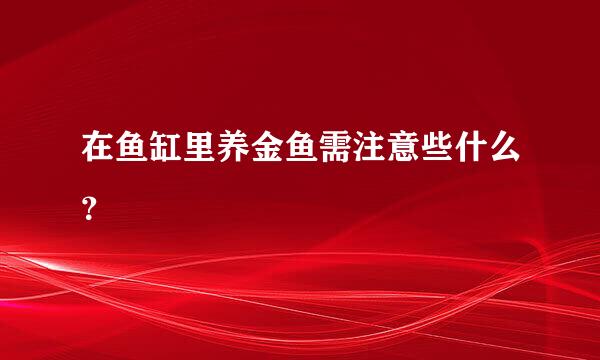 在鱼缸里养金鱼需注意些什么？