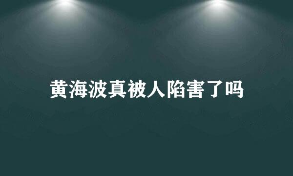 黄海波真被人陷害了吗