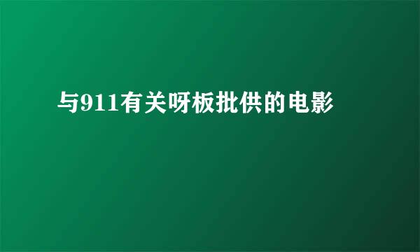 与911有关呀板批供的电影