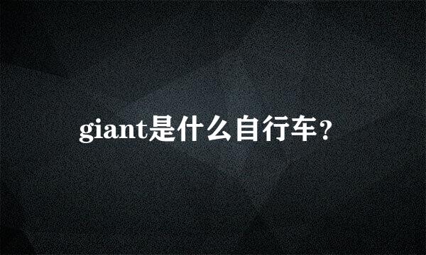 giant是什么自行车？