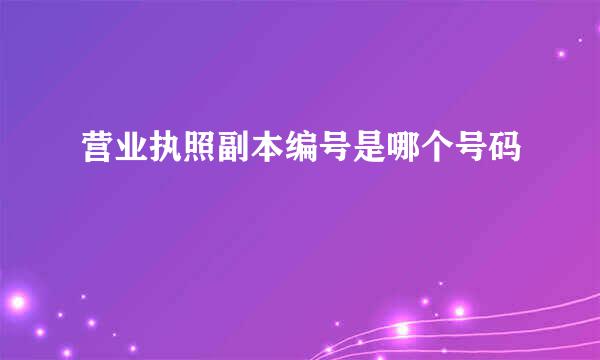 营业执照副本编号是哪个号码