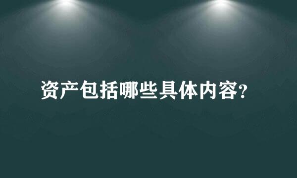 资产包括哪些具体内容？