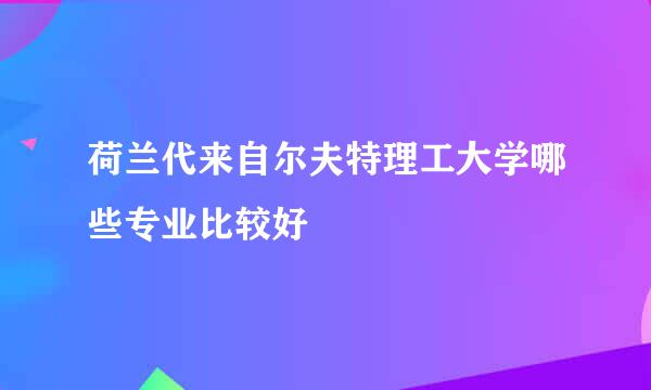 荷兰代来自尔夫特理工大学哪些专业比较好