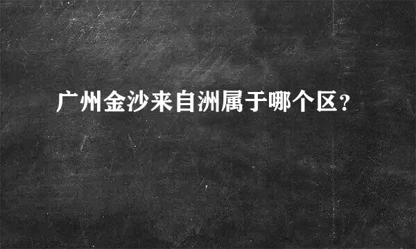 广州金沙来自洲属于哪个区？