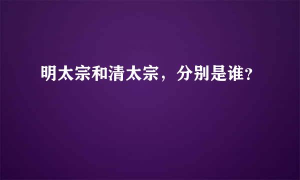 明太宗和清太宗，分别是谁？