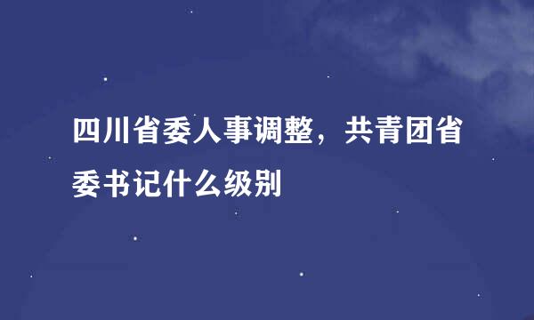 四川省委人事调整，共青团省委书记什么级别