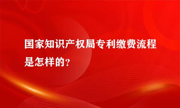 国家知识产权局专利缴费流程是怎样的？