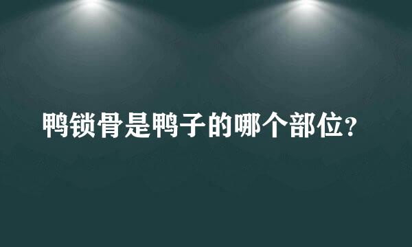 鸭锁骨是鸭子的哪个部位？