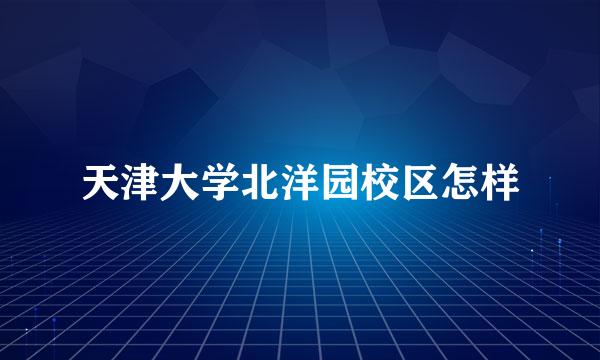 天津大学北洋园校区怎样