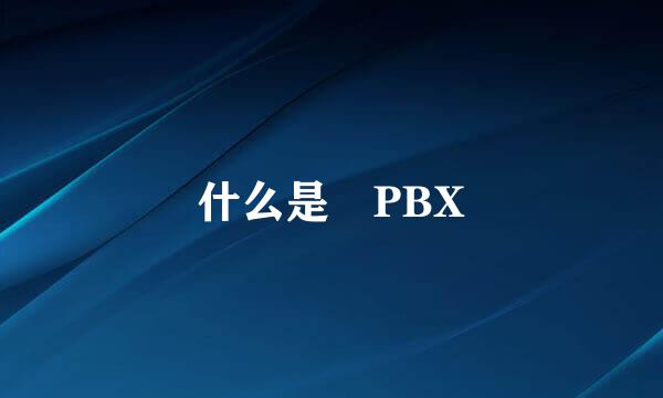 什么是 PBX