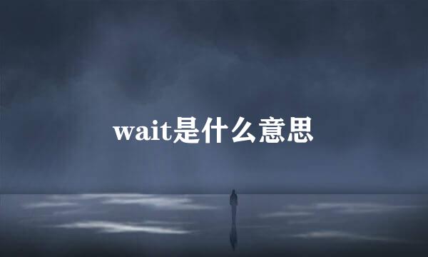 wait是什么意思