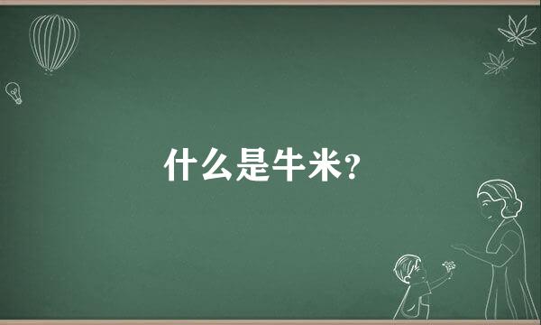 什么是牛米？