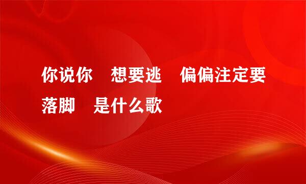 你说你 想要逃 偏偏注定要落脚 是什么歌