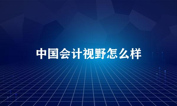 中国会计视野怎么样