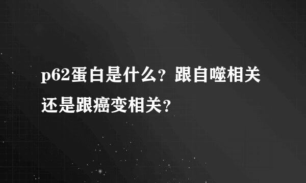 p62蛋白是什么？跟自噬相关还是跟癌变相关？