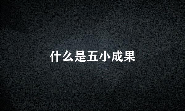 什么是五小成果