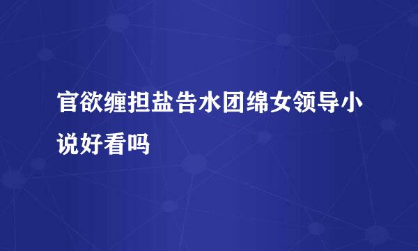 官欲缠担盐告水团绵女领导小说好看吗