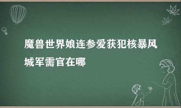 魔兽世界娘连参爱获犯核暴风城军需官在哪