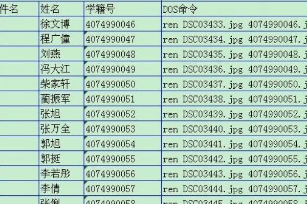 全国的学籍号是多少？