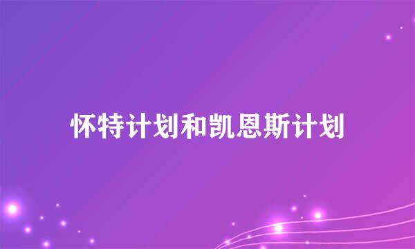 怀特计划和凯恩斯计划