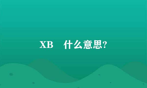 XB 什么意思?